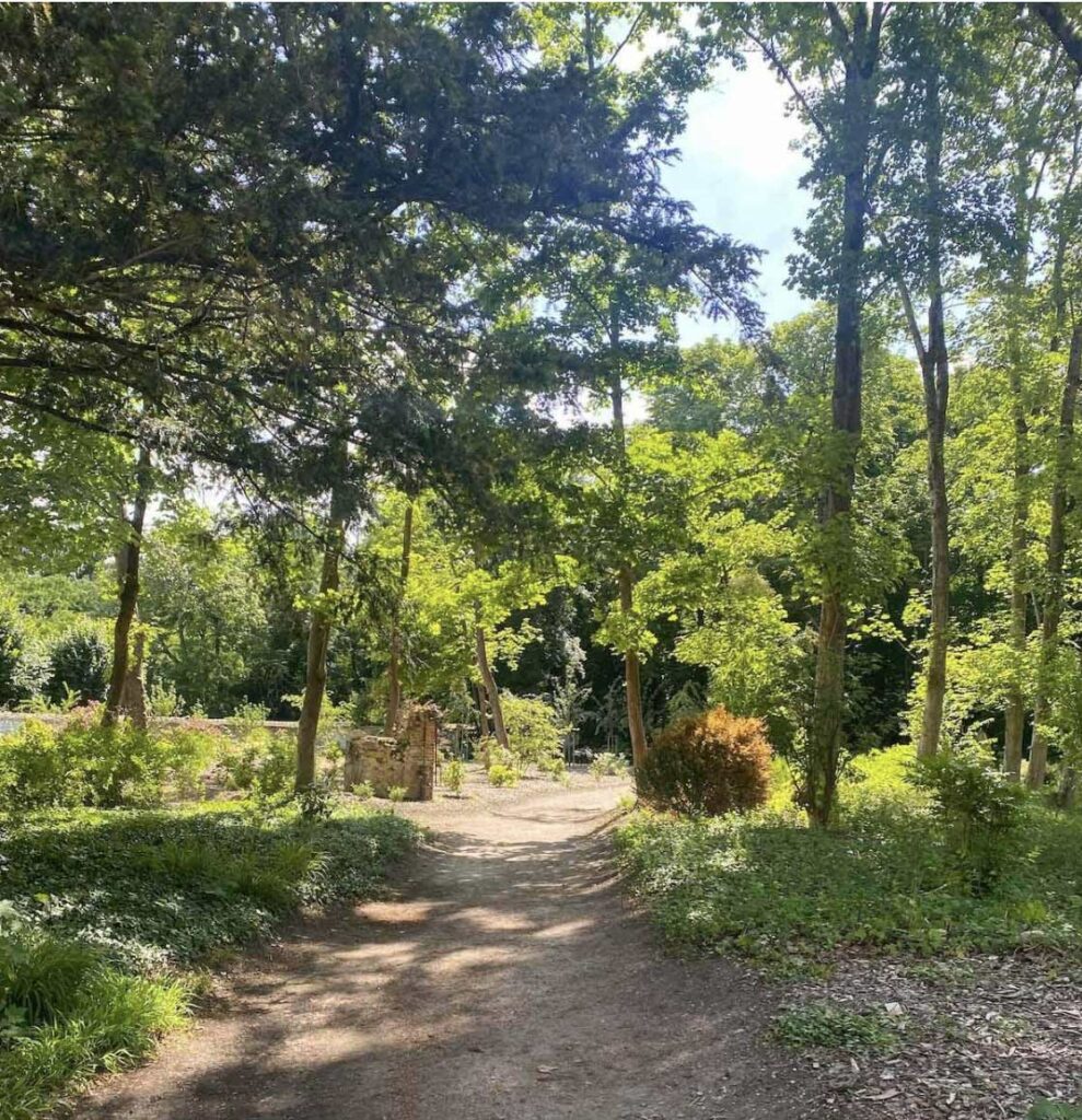 rosa-bonheur-contenu-3